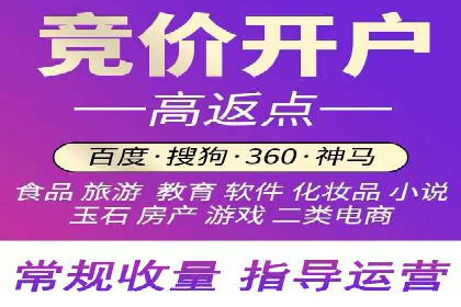 竞价推广公司案例揭秘：如何利用数据分析提升广告效果